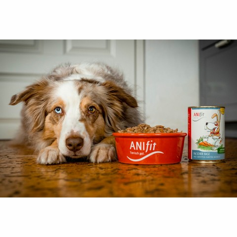 Dog Accessories Wet pet food Wrong Bunny (Falscher Hase) 200g 6 Piece -3- Anifit