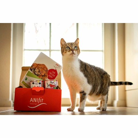 Cat Wet pet food Cat Trial Package (Schnupperpaket Katzen) 400g 1 Pack with different flavours and samples -5- Anifit
