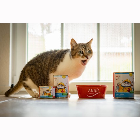 Katze Nassfutter Eismeer Terrine 400g 6 Stück -3- Anifit