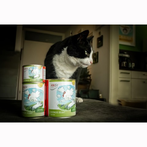 Cat Wet pet food Turkey's Delight (Puterichs Delight) 400g 6 Piece -3- Anifit