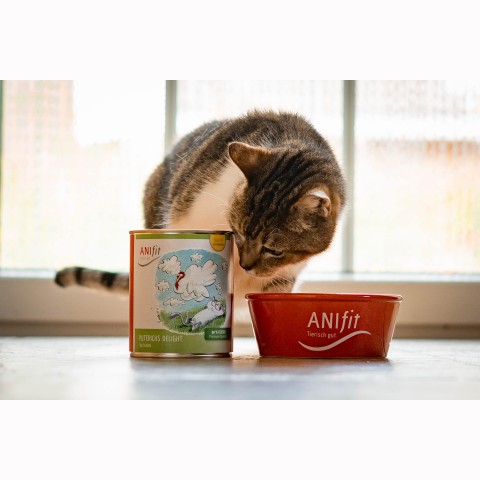 Cat Wet pet food Turkey's Delight (Puterichs Delight) 400g 6 Piece -6- Anifit