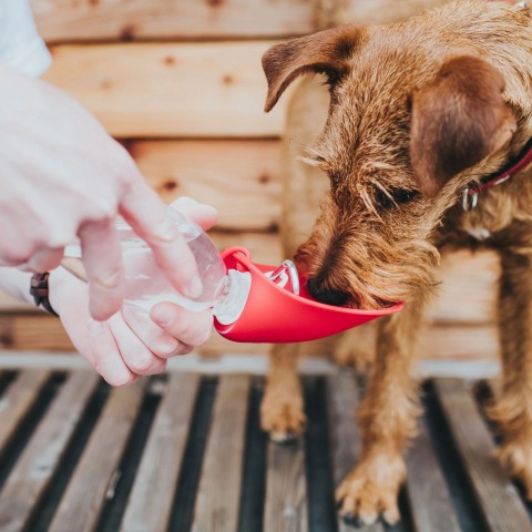Dog Provital Accessories Advertising material Residual spoon 1 Piece -3- Anifit