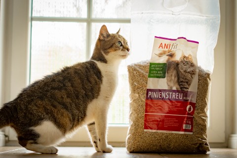 Cat Accessories Pine Litter 40 kg 1 Piece -2- Anifit